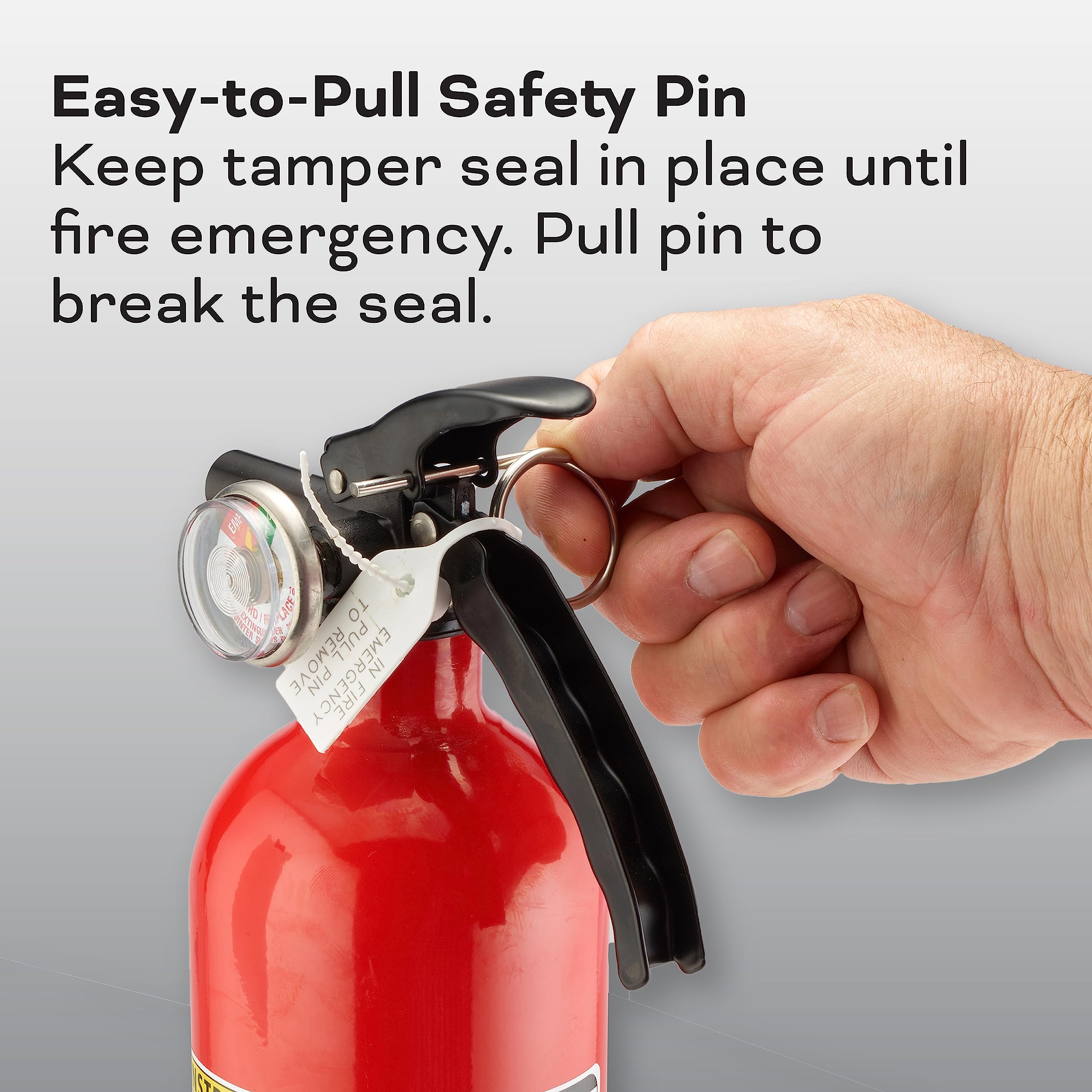 Kidde Kitchen Fire Extinguishers for Home & Office Use, 2 Pack: One 1-A:10-B:C and One Specialty Kitchen Extinguisher, Wall Mount & Strap Brackets Included - Image 11