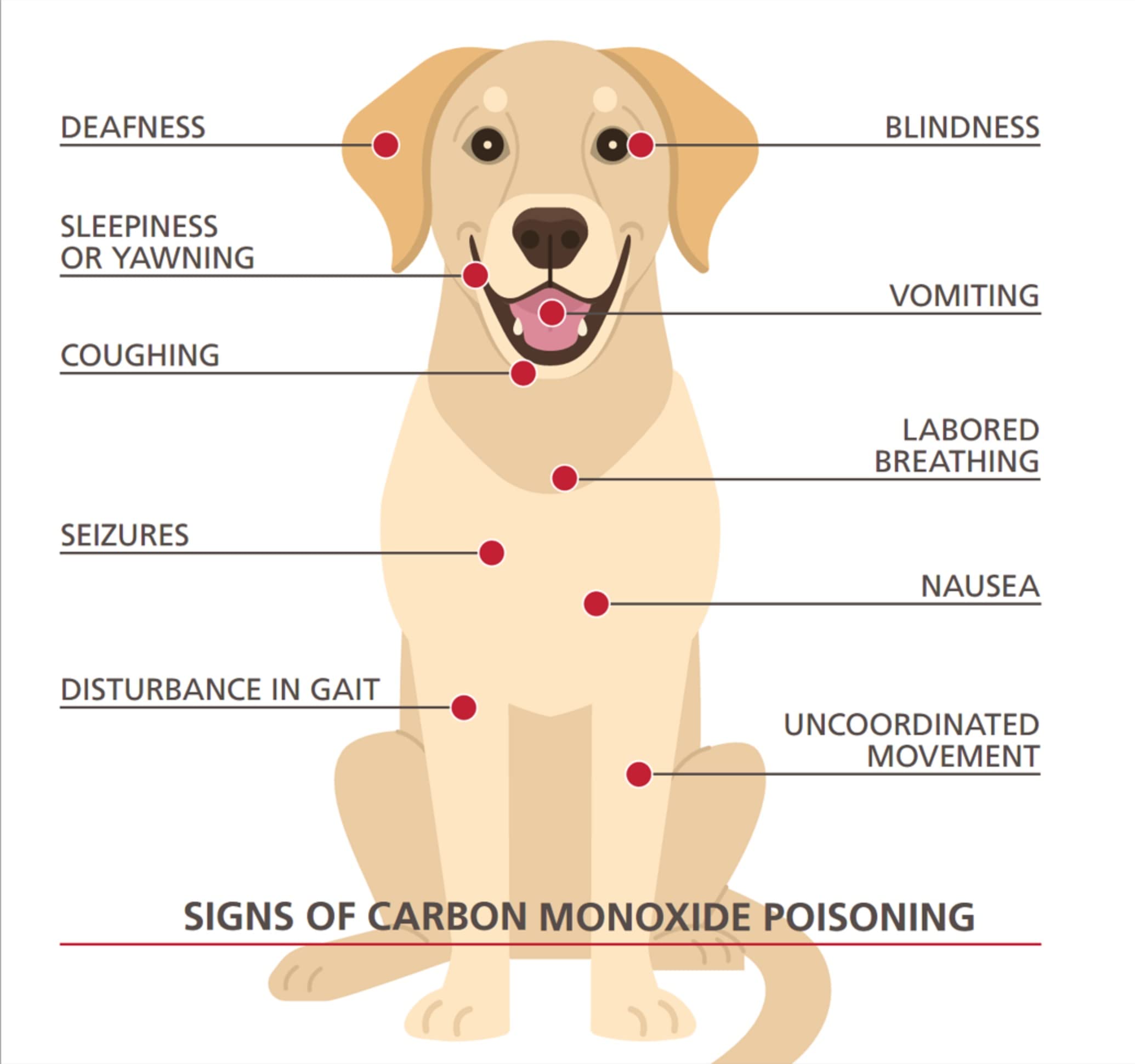 Kidde Ultra-Sensitive Carbon Monoxide Detector for Pets, Health, or Medical Conditions, Battery Powered with Digital Display, UNIT - Image 3
